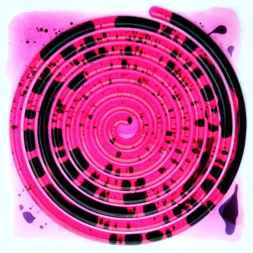 dlazdice-ruzova-spirala